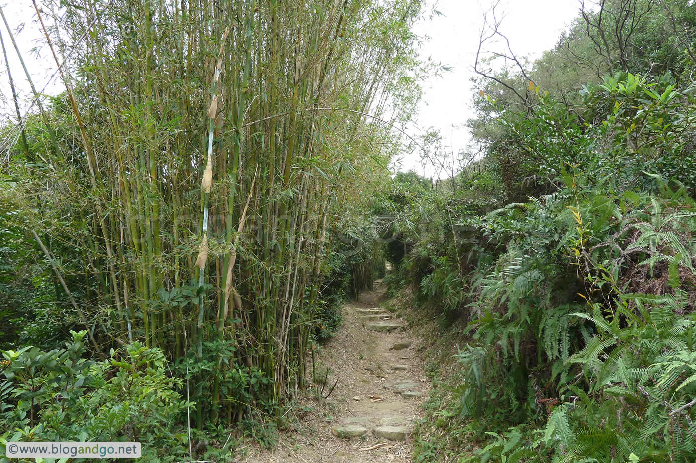 Hikes - Lantau Trail